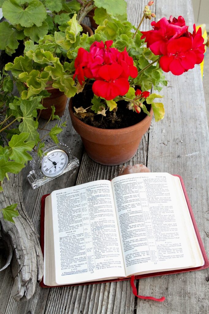 bible, open book, open bible-1310889.jpg